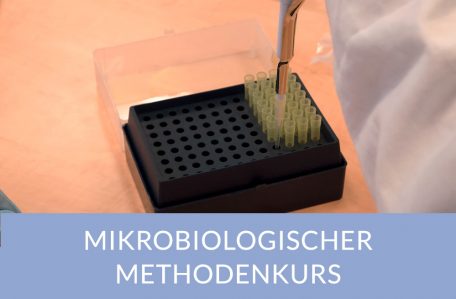 Mikrobiologie_Thumb2